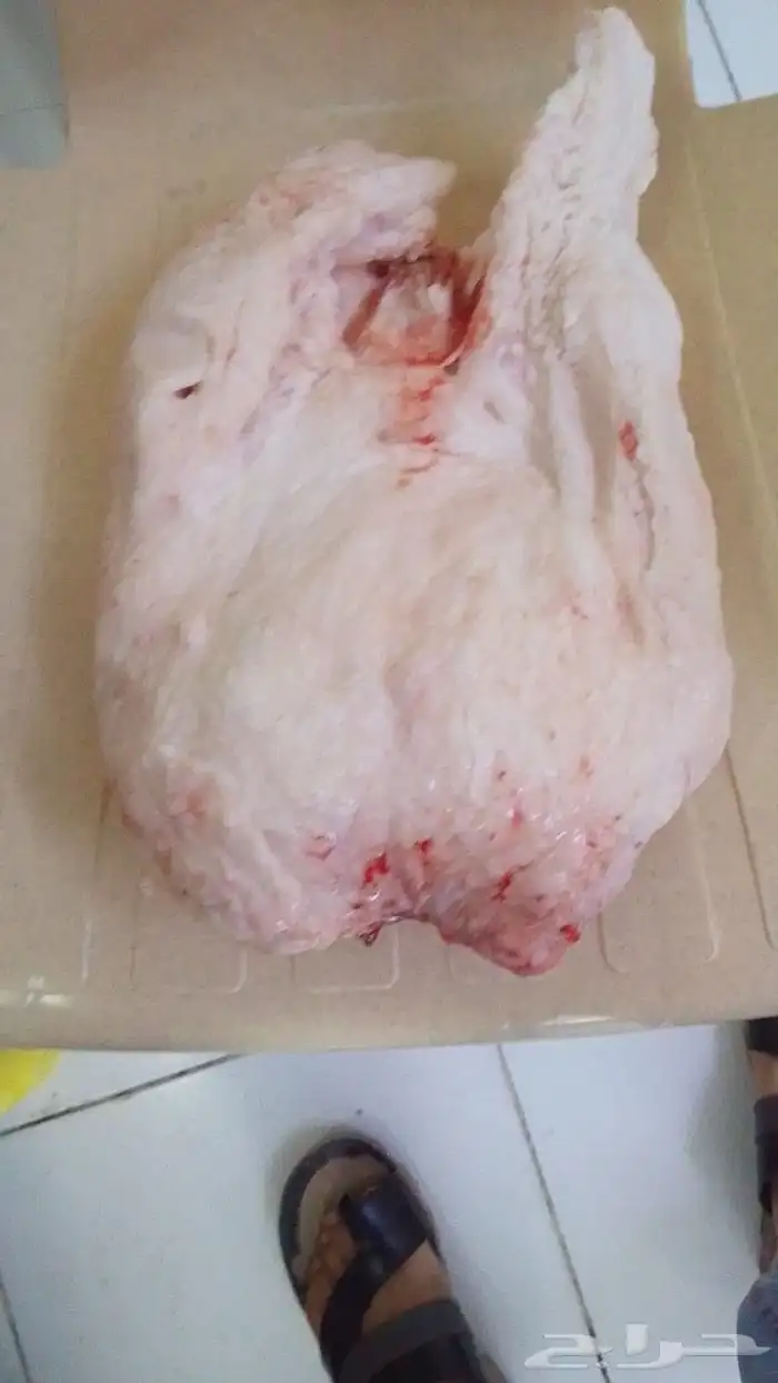متوفر لي يا نعيمي طازه اطراف كامله 1