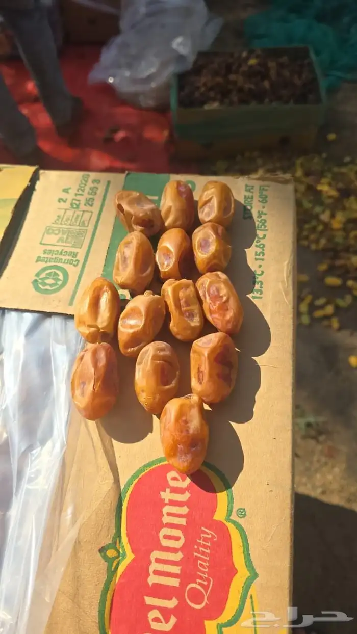 تمر اخلاص فله للبيع 2