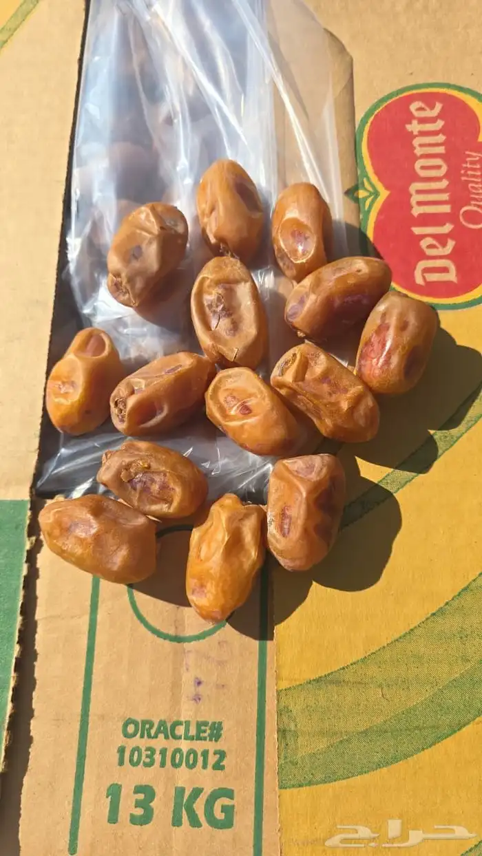 تمر اخلاص فله للبيع 1