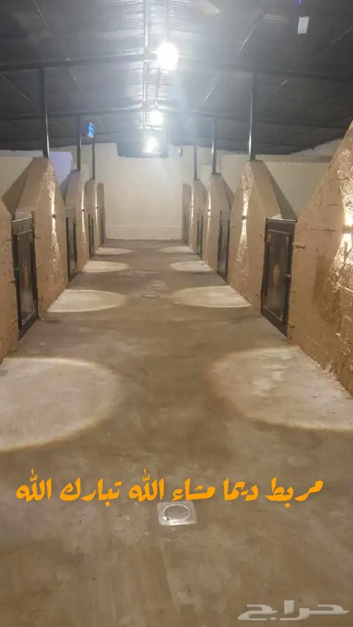 مربط اسطبل للإيواء الرياض - المزاحمية - جو 0