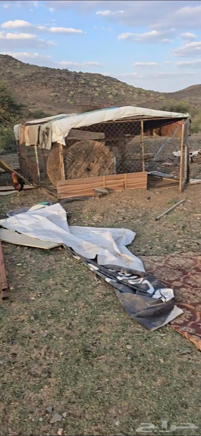 للبيع شبك غنم او دجاج او مواشي 0