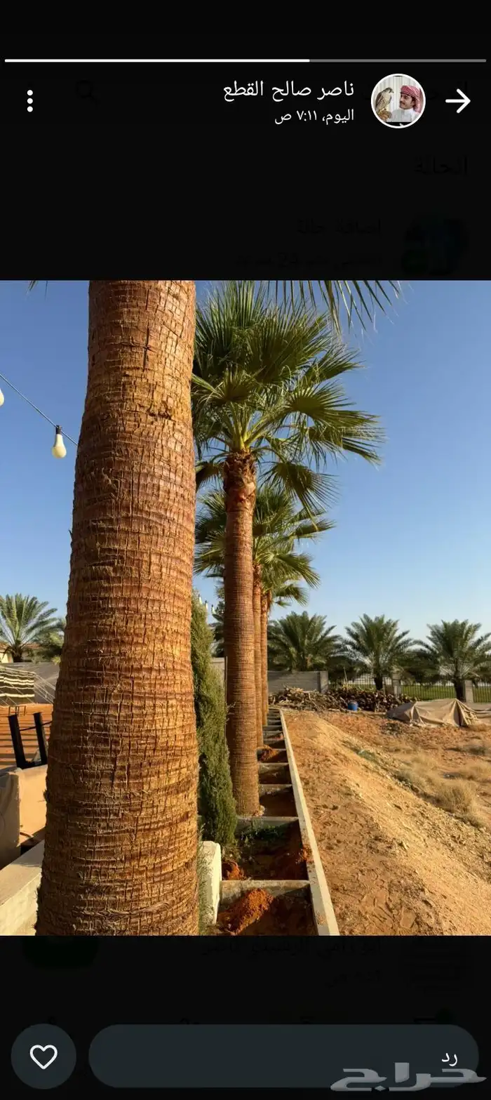 مؤسسة مقاولات 5