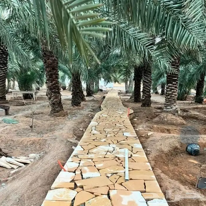 ابو حسن التراث 9
