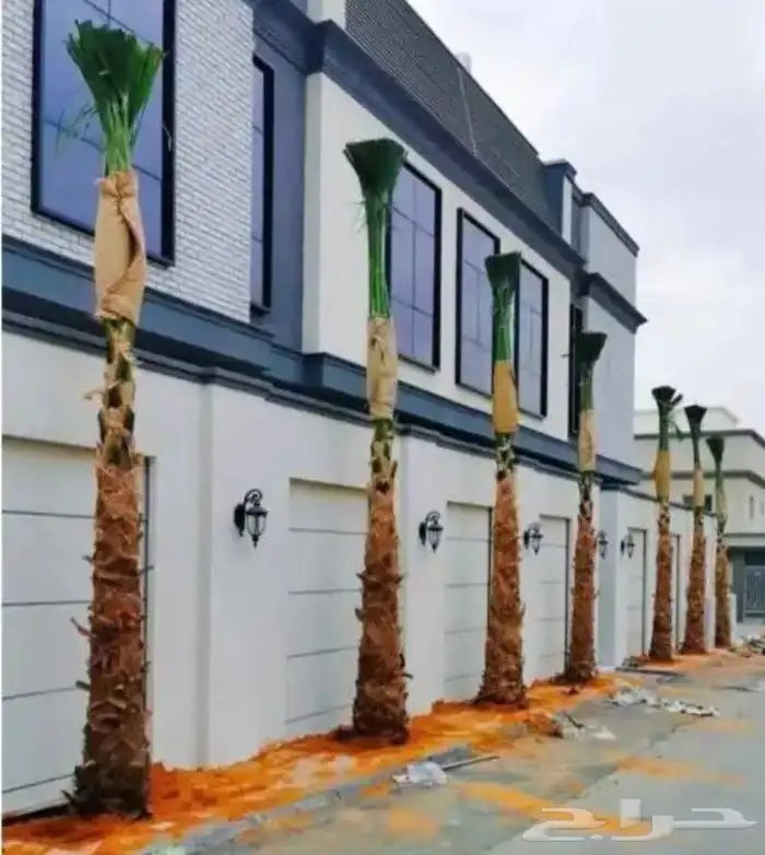 تنسيق الحدائق 23