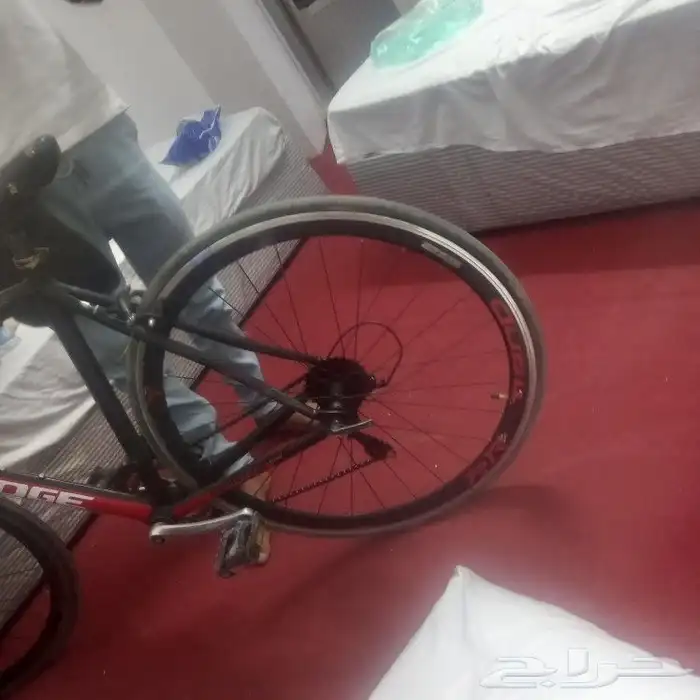 دراجة سبورت قولد مقاس 26 1