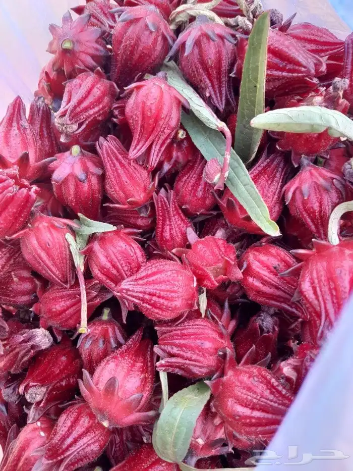 للبيع كركديه عضوي طازج الكيلو 50 ريال 2