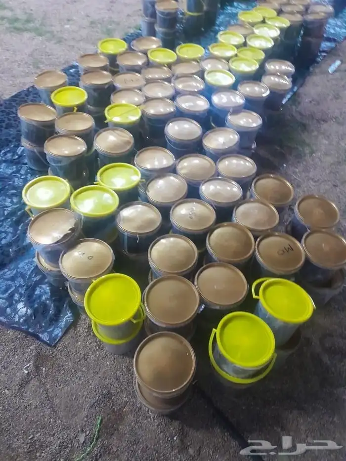 تمور حائل الفاخره 2