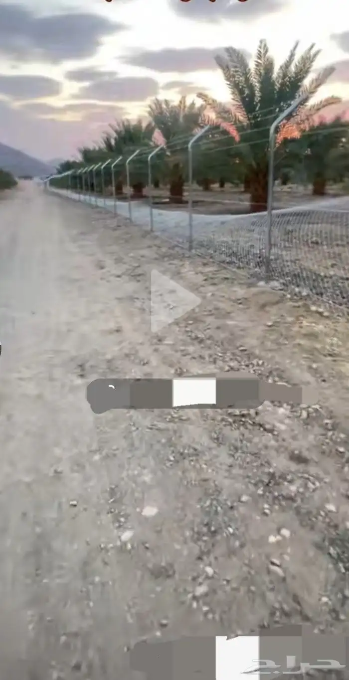 يوجد الدينا جميع انواع الشبوك اللمزارع 4