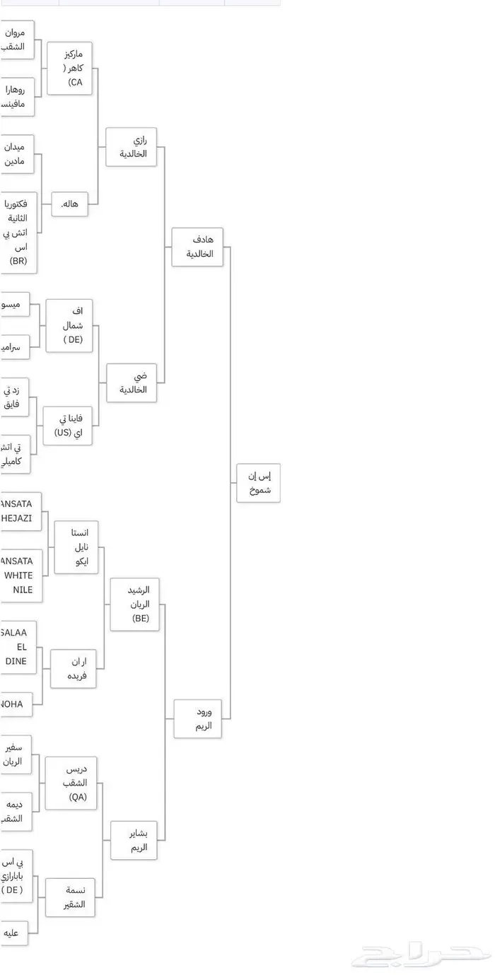 فرس واهو 5
