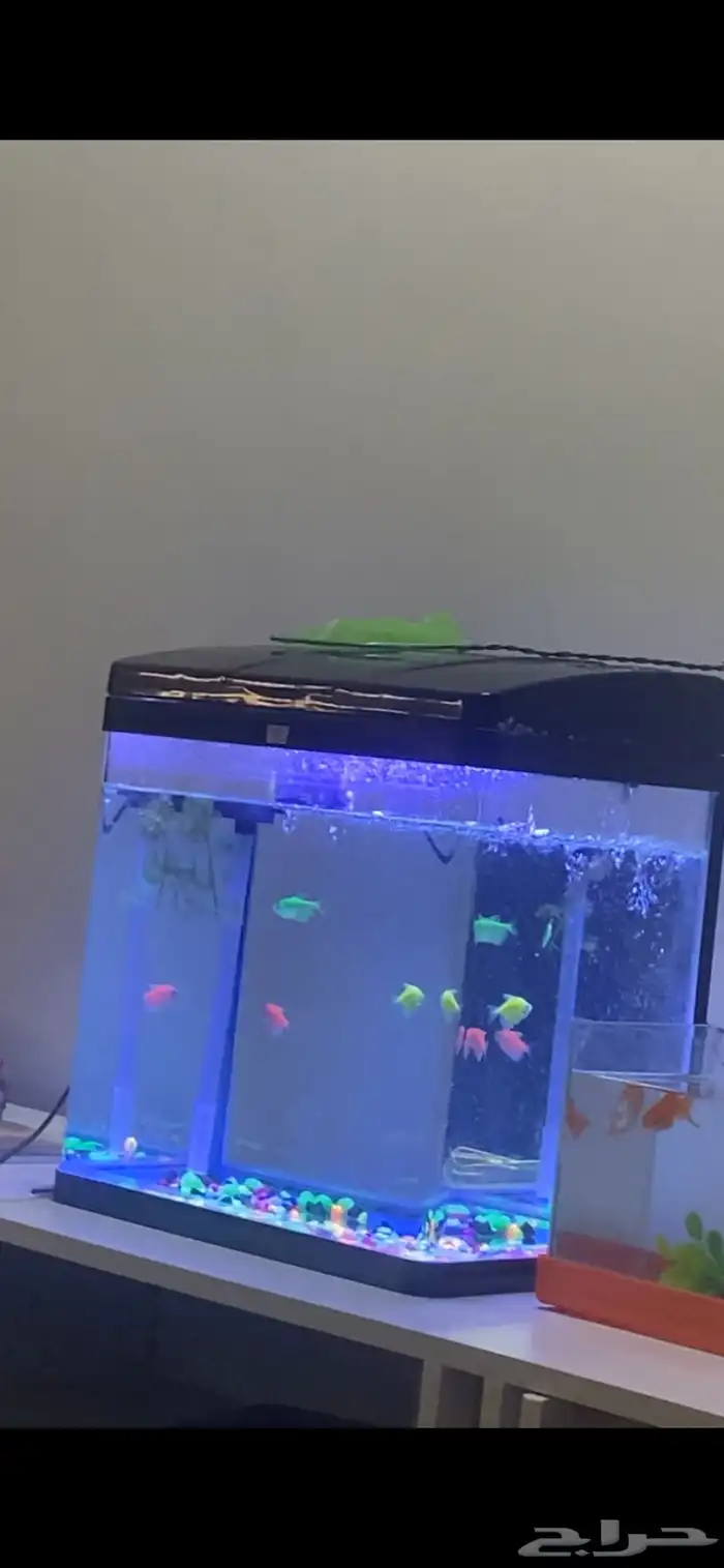 حوض سمك للبيع 0