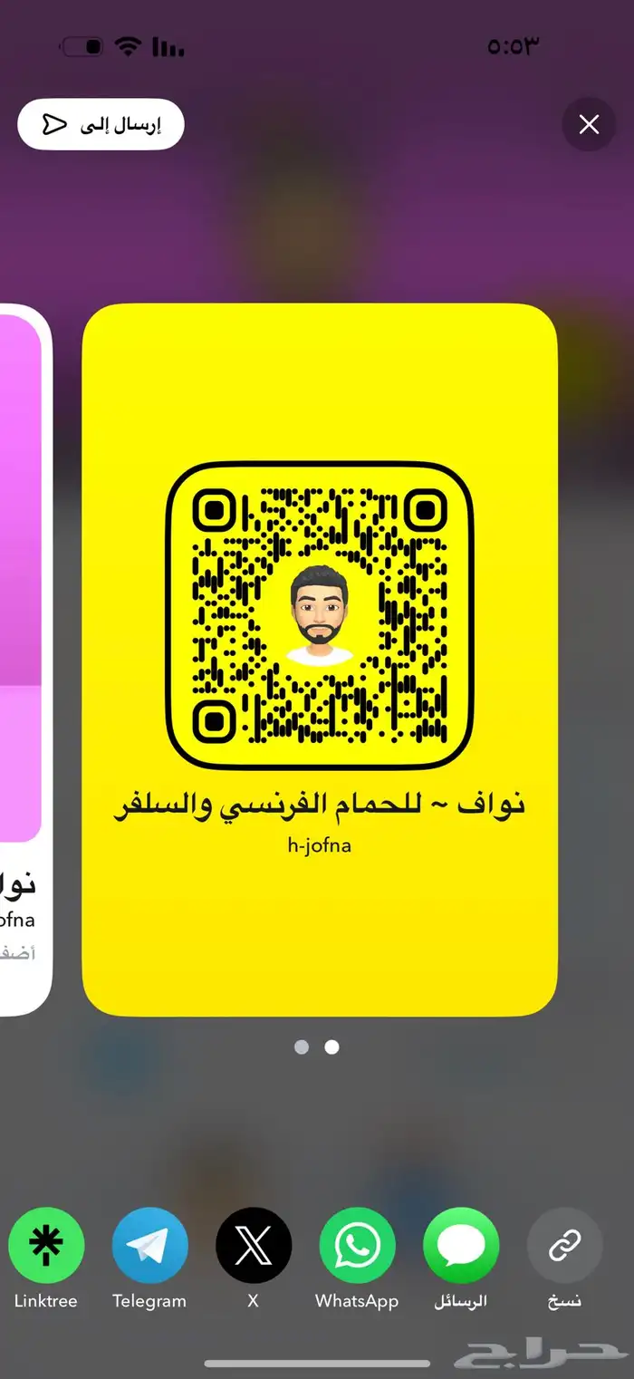 للبيع عشه حمام فرنسي وسلفر من إنتاجي 100 جوز 2