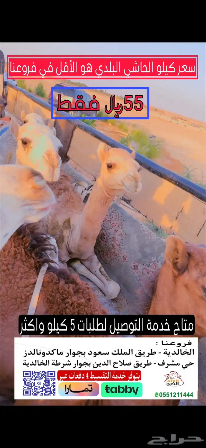 حاشي بلدي 0