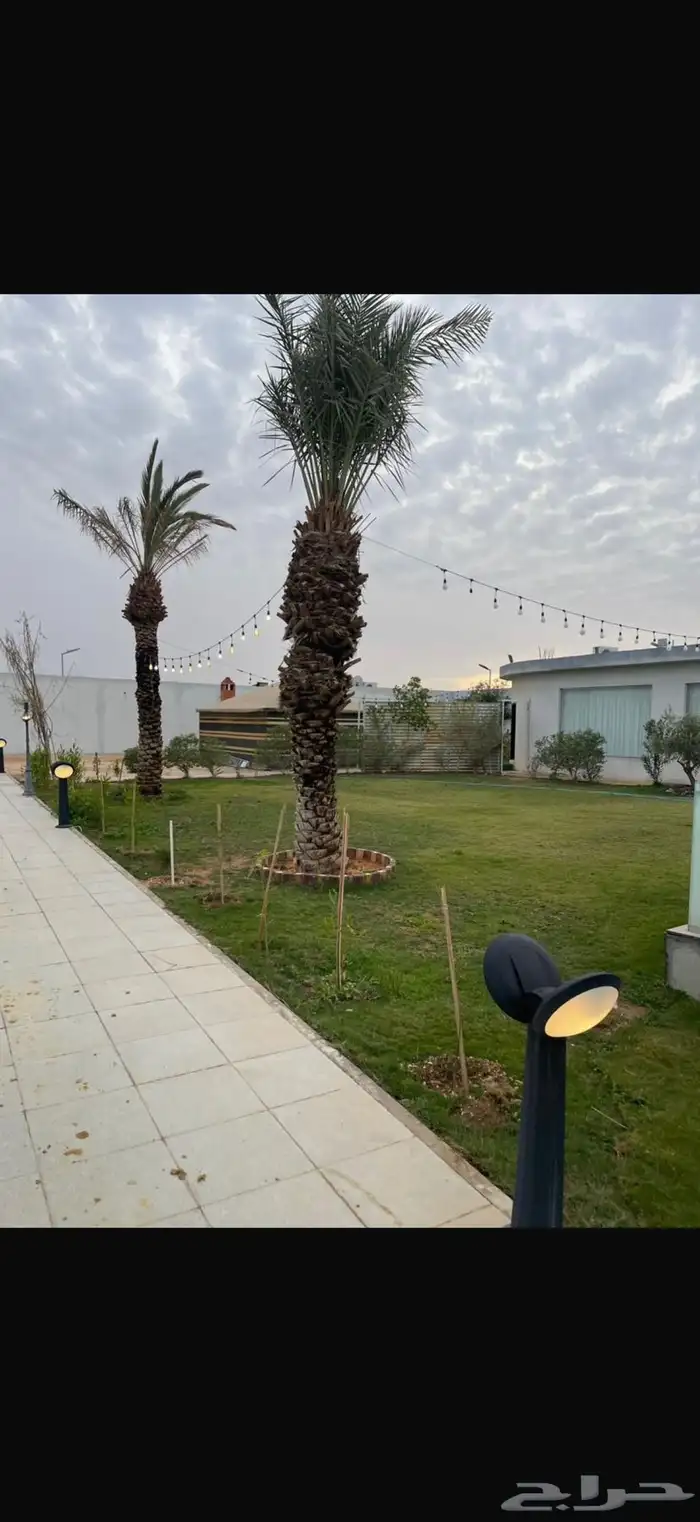 استراحه في العماريه 11