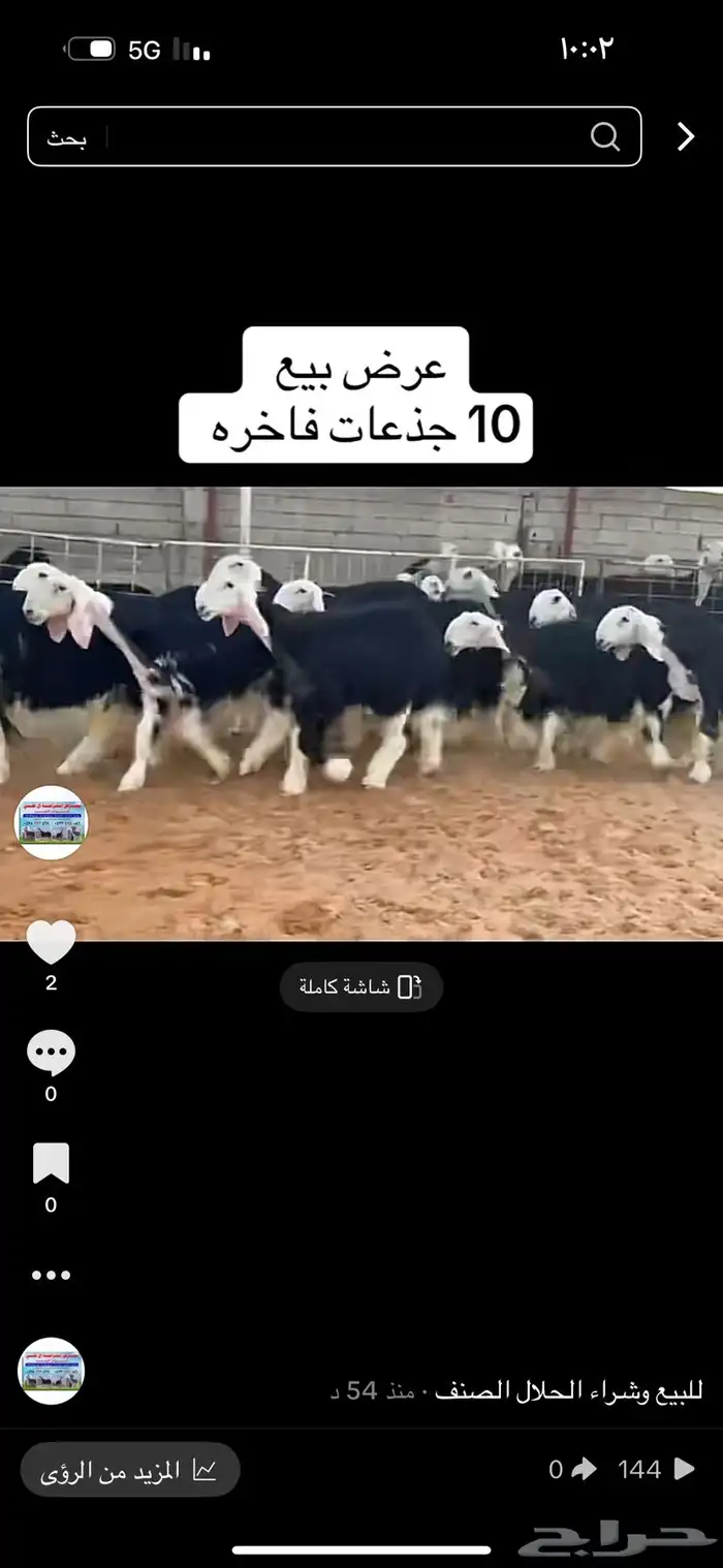 عرض بيع جذعات 2