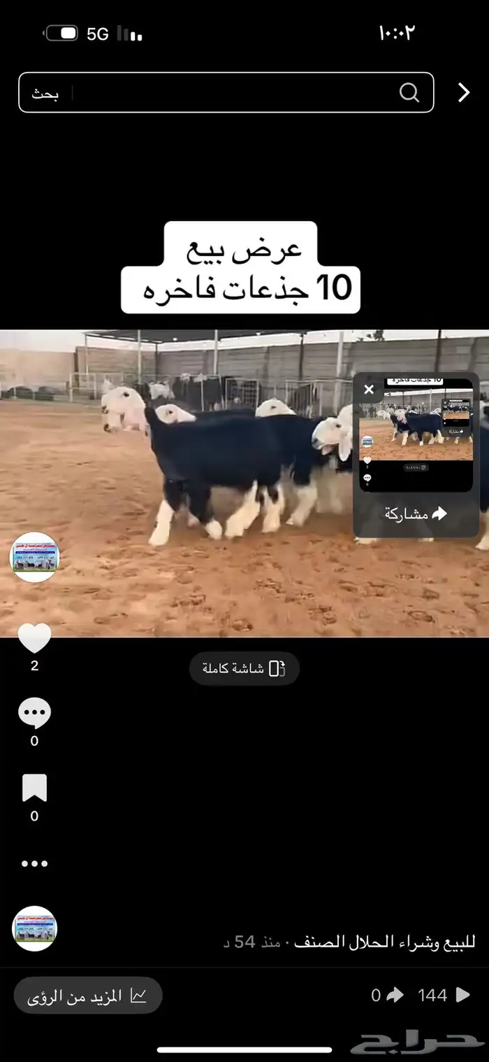 عرض بيع جذعات 0