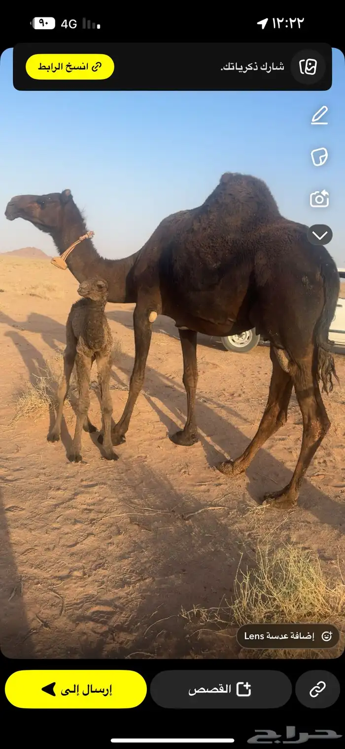 خلفه مصغر 0