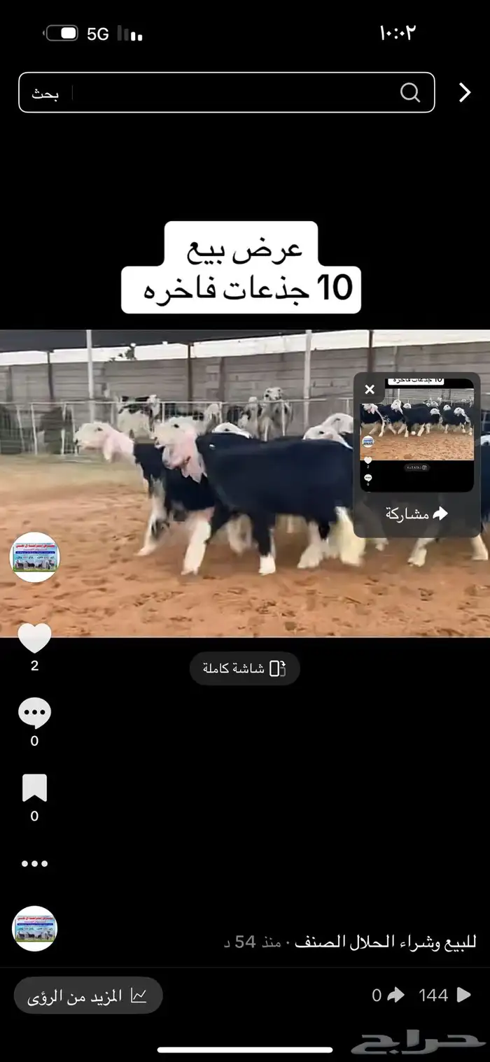 عرض بيع جذعات 1