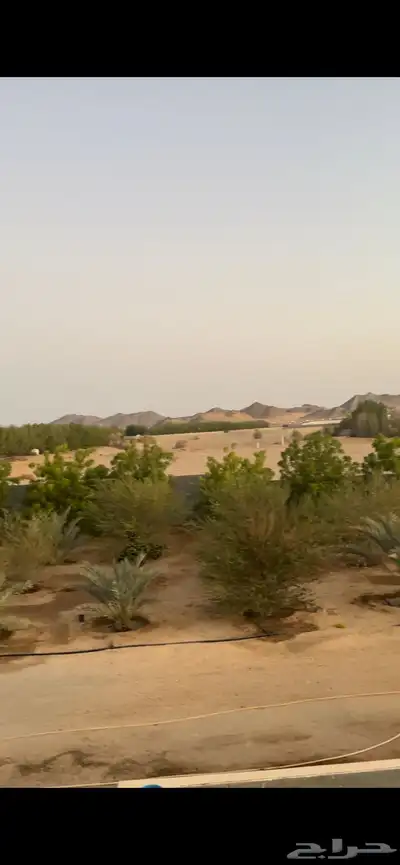 مزرعة في الغولاء للإيجار 0