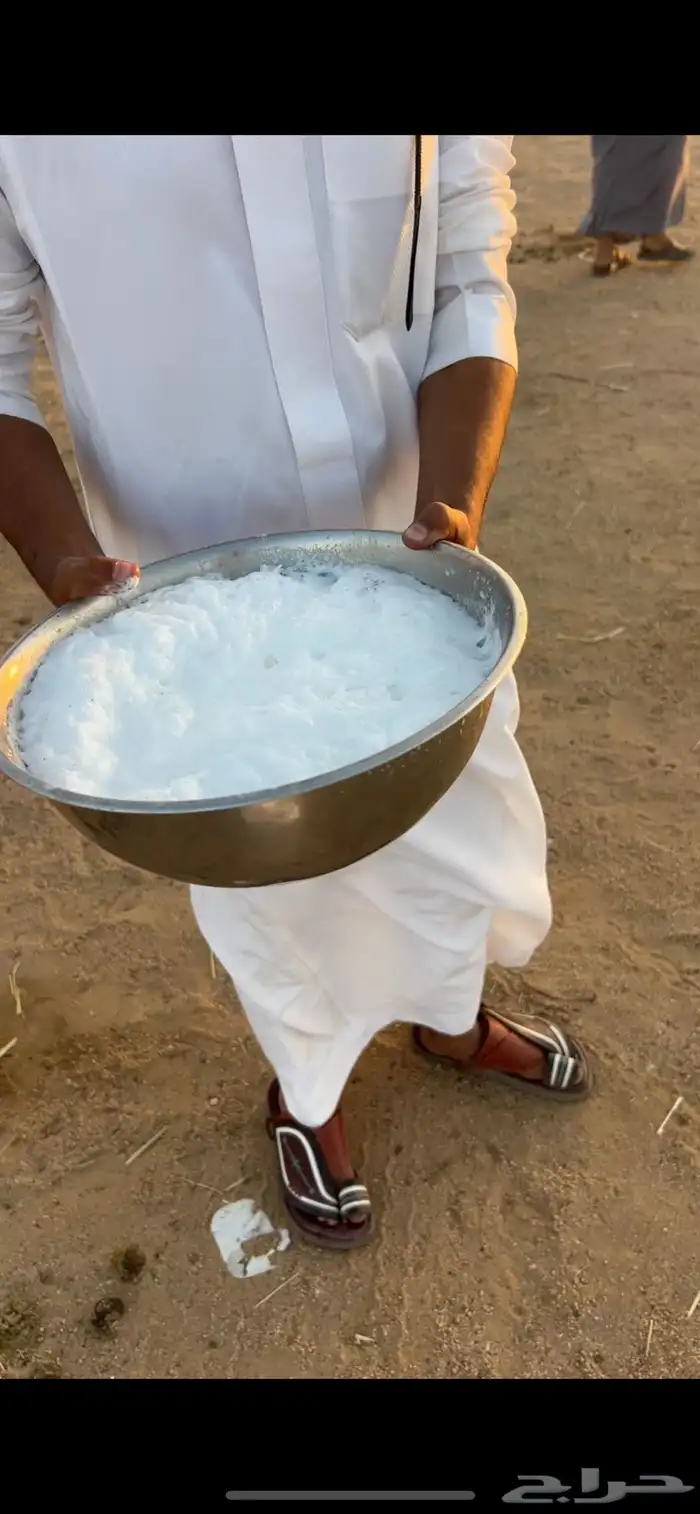 خلفه مصغرا وضحا حليبها كنه السكر 4