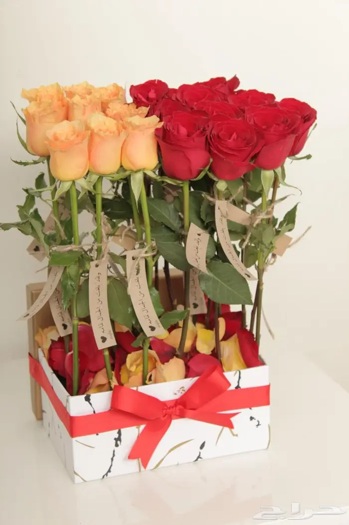 تنسيق حفلات بالون استقبال مواليد ورد باقات هدايا توزيعات 55