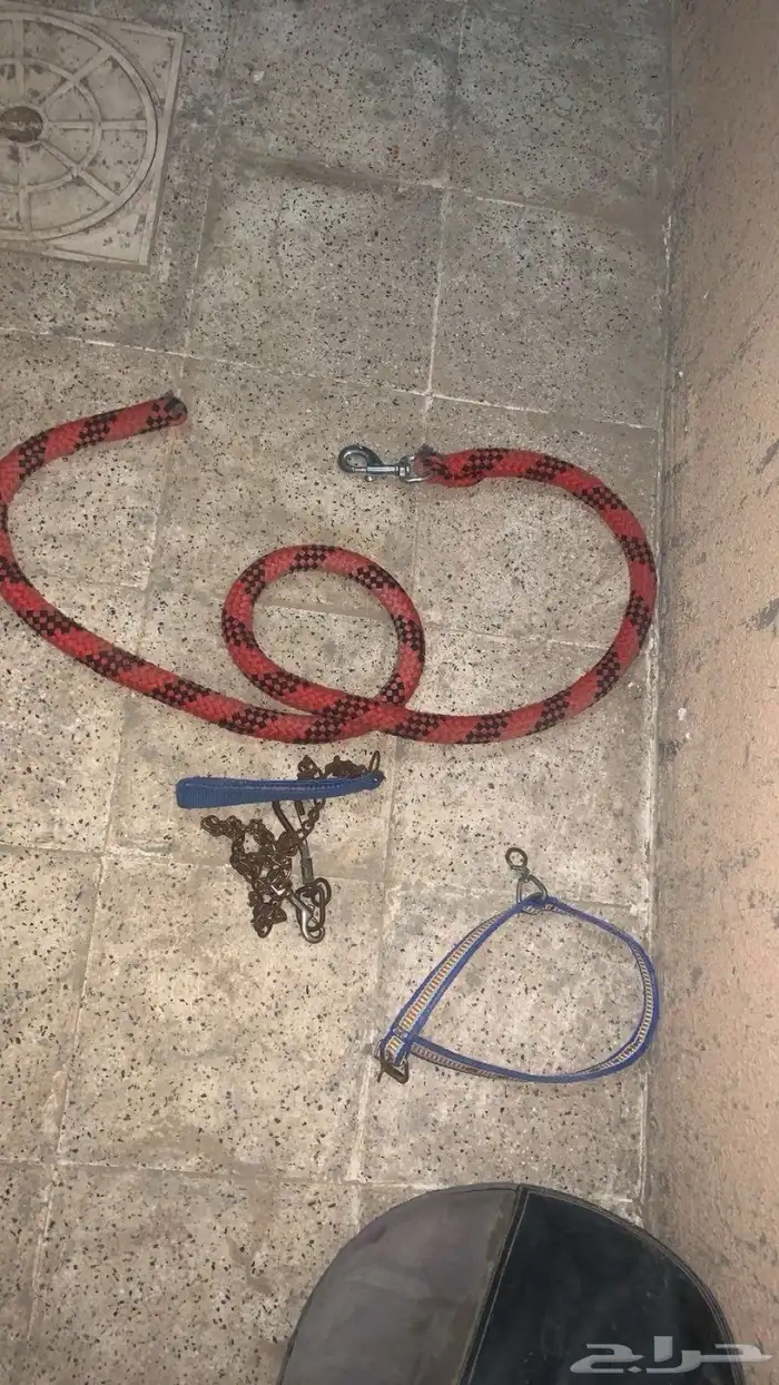 ونش سحب   سرج خيل 2