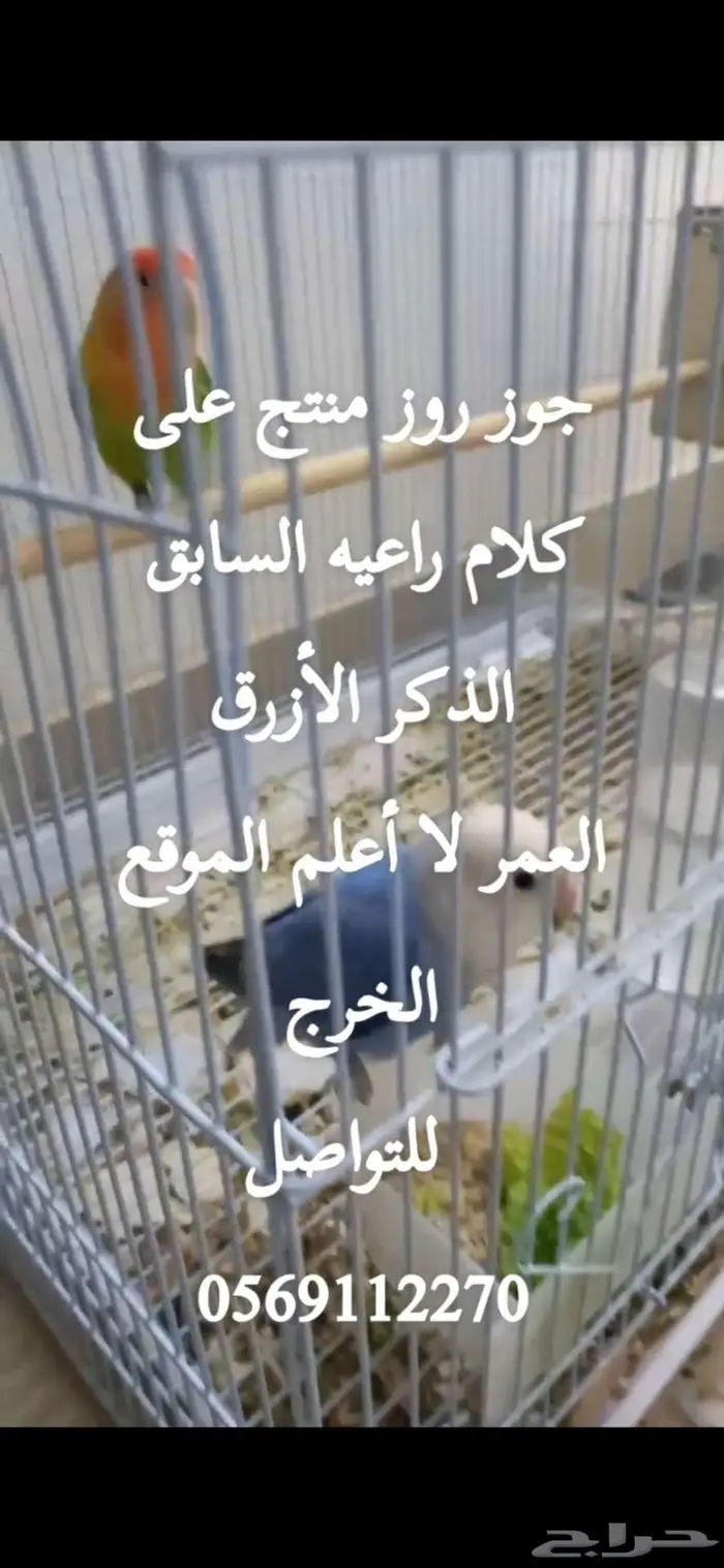 جوز روز سبق و أنتج الخرج 3