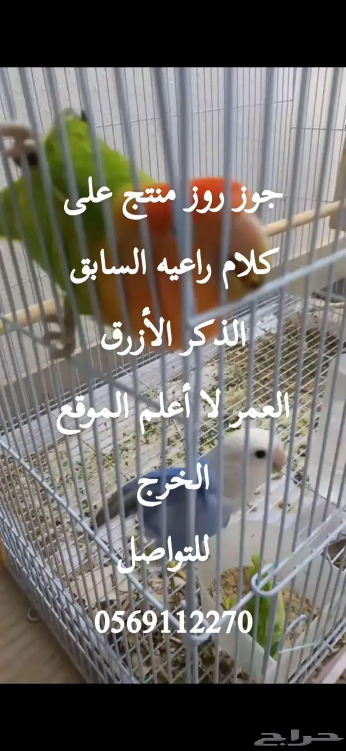 جوز روز سبق و أنتج الخرج 1