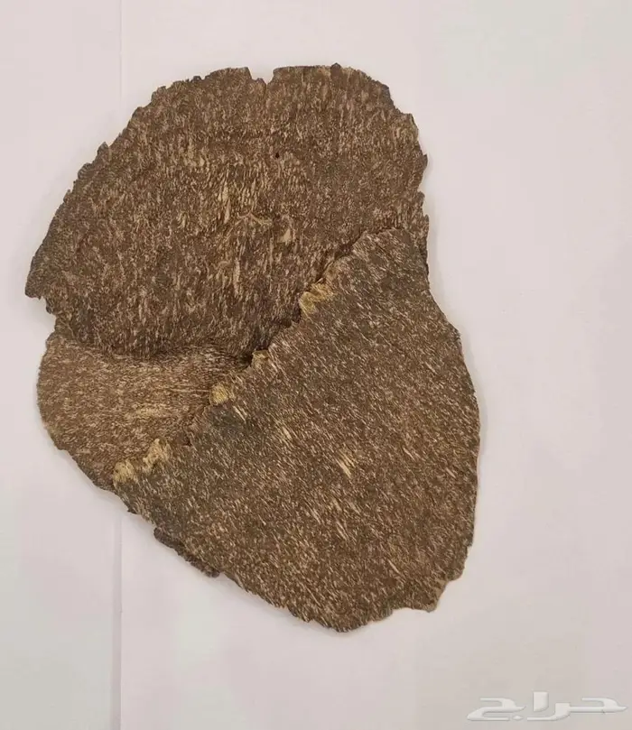 دهن عود  عود موروكي  عود جار 5