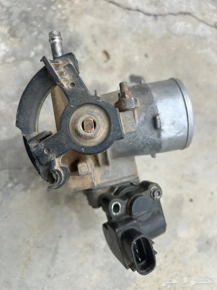 بوابة كورولا 1