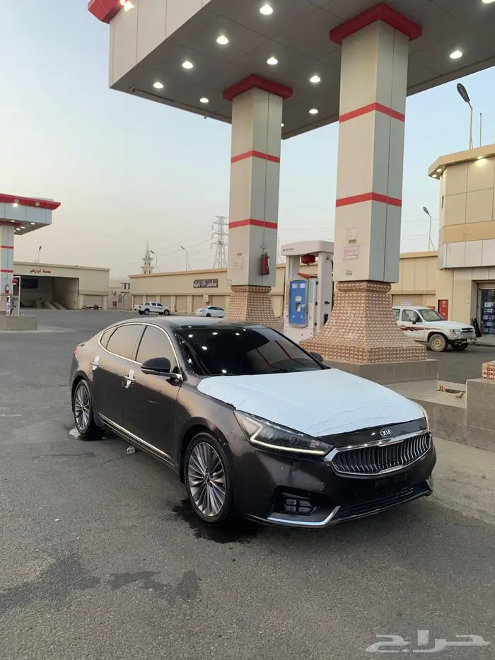 جنوط كادينزا الفل 19 2020 0