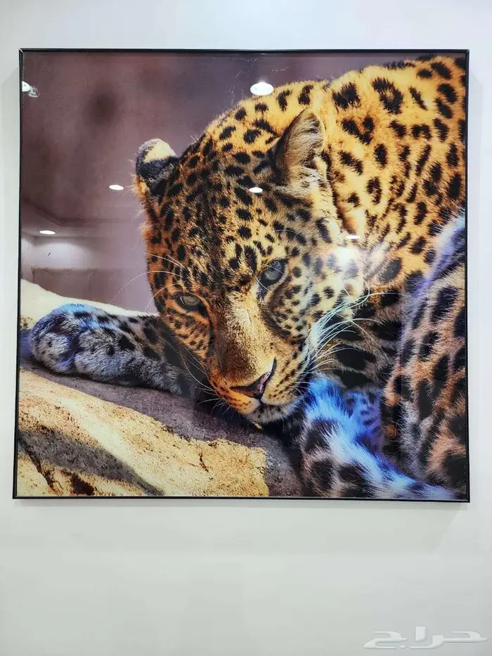 للبيع بالسعر اللي تحدده 2