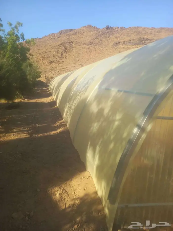 شركة قطاف للبيوت المحمية الزراعية 4