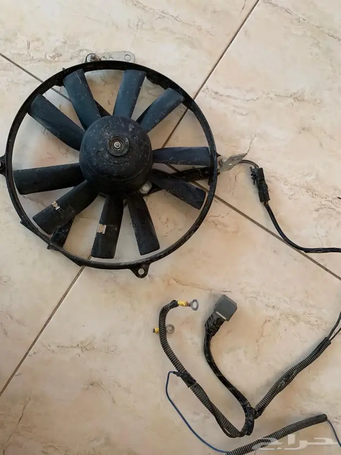 البكيريه 1