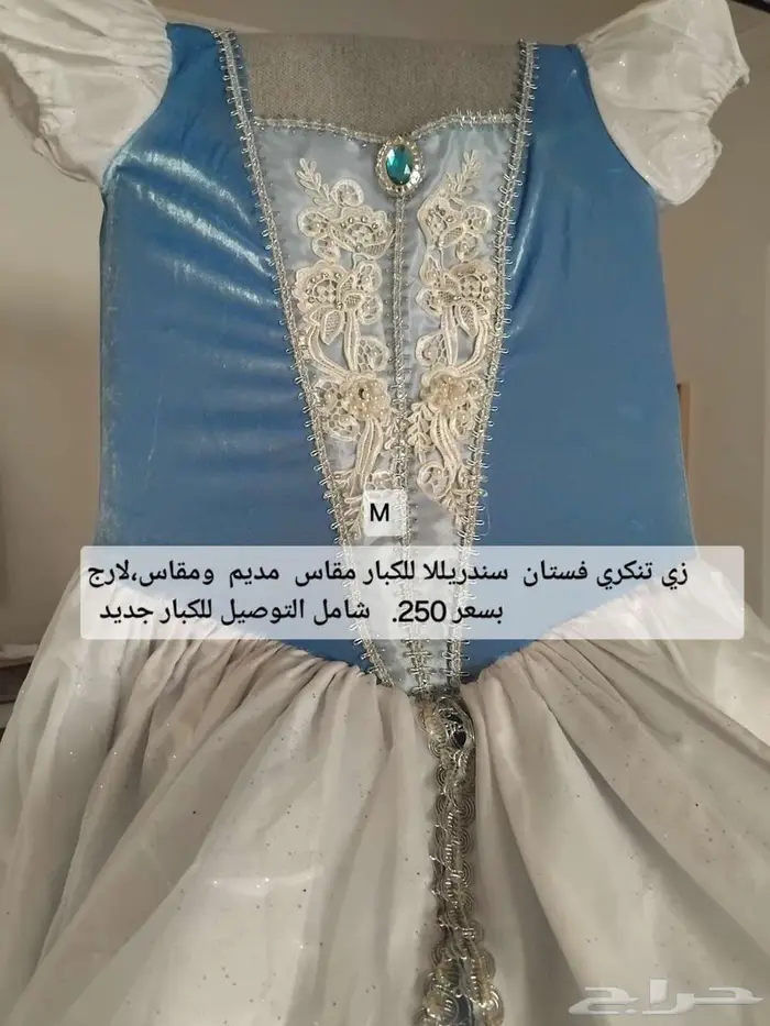 زي تنكري فستان سندريللا للكبار 4