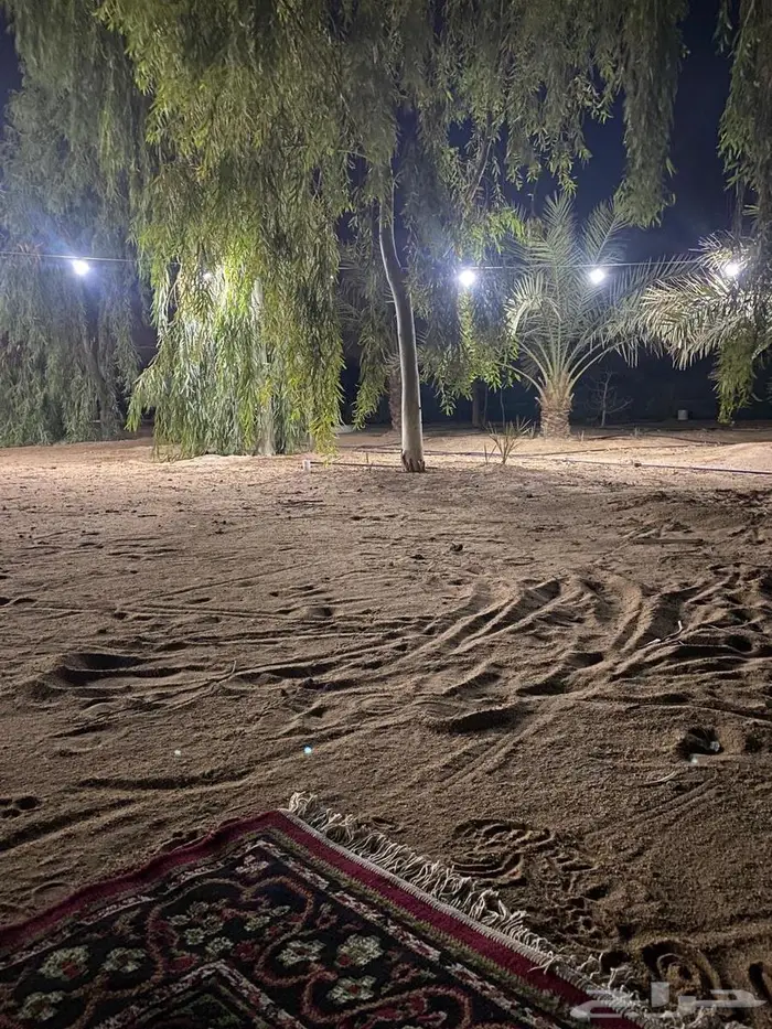 استراحه مزرعه للاجار فالجله 0