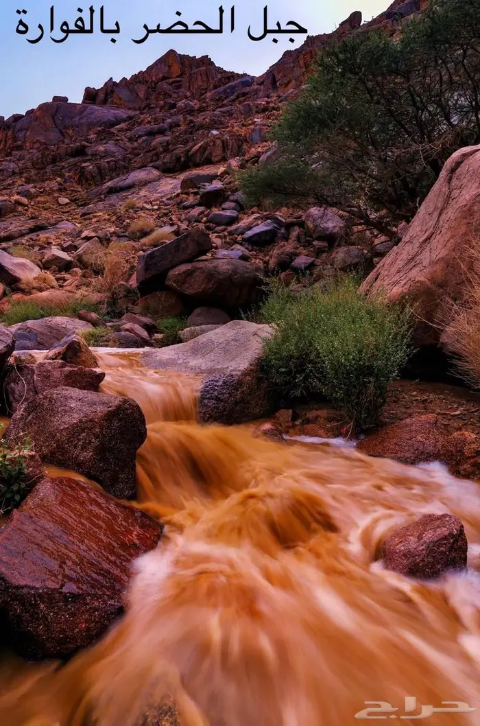 للبيع استراحة الفوارة 99 الف ريال 2