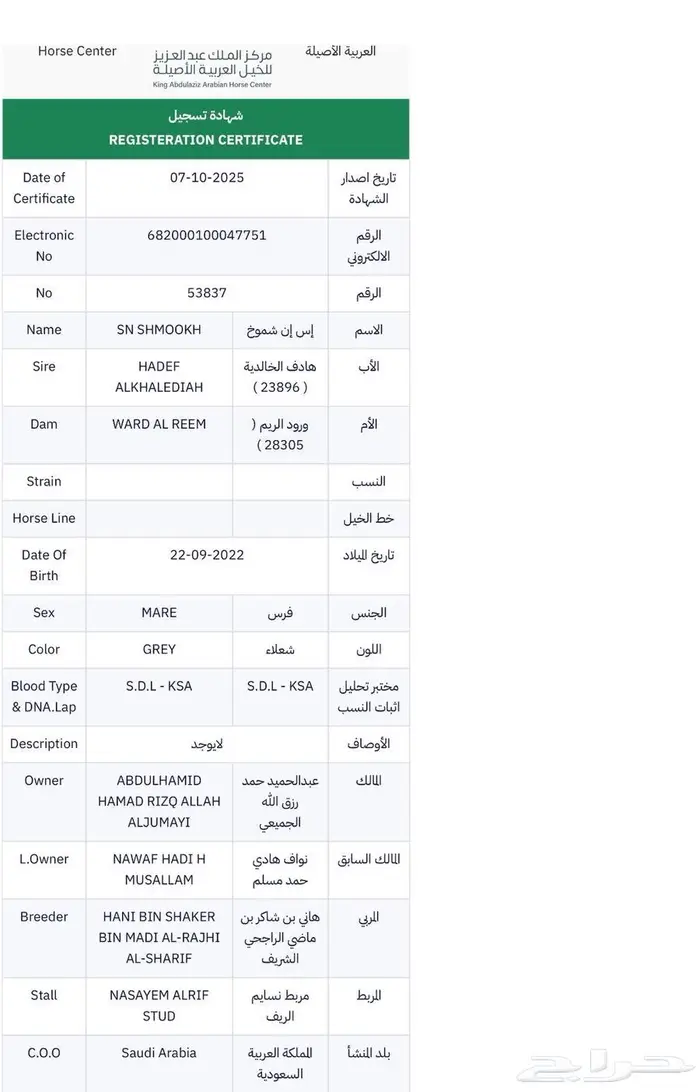 فرس واهو 4
