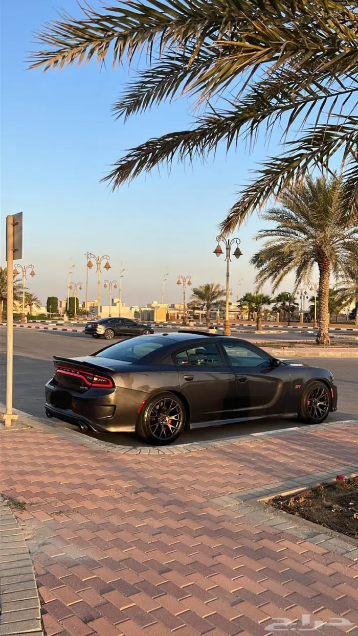 للبيع تشارجر سكات باك 2018 0