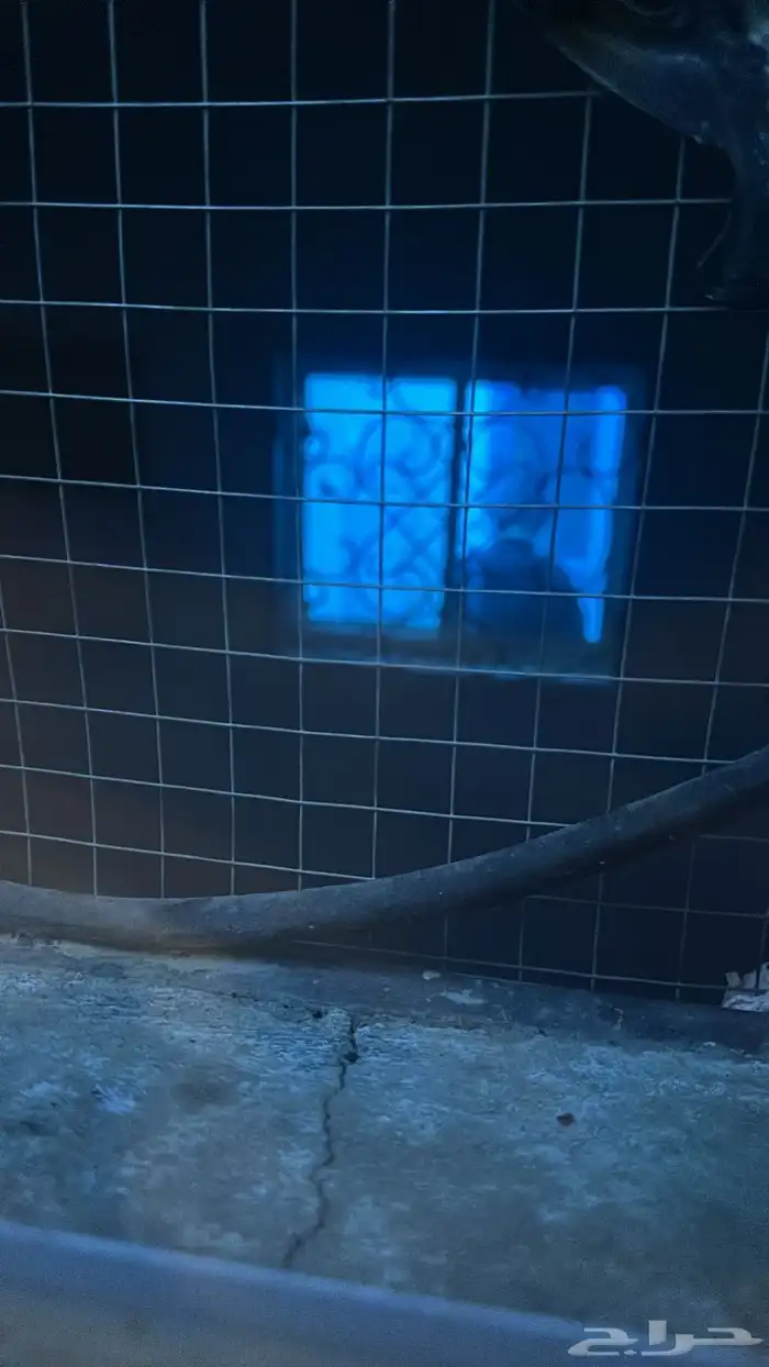 جلسات خارجية 37