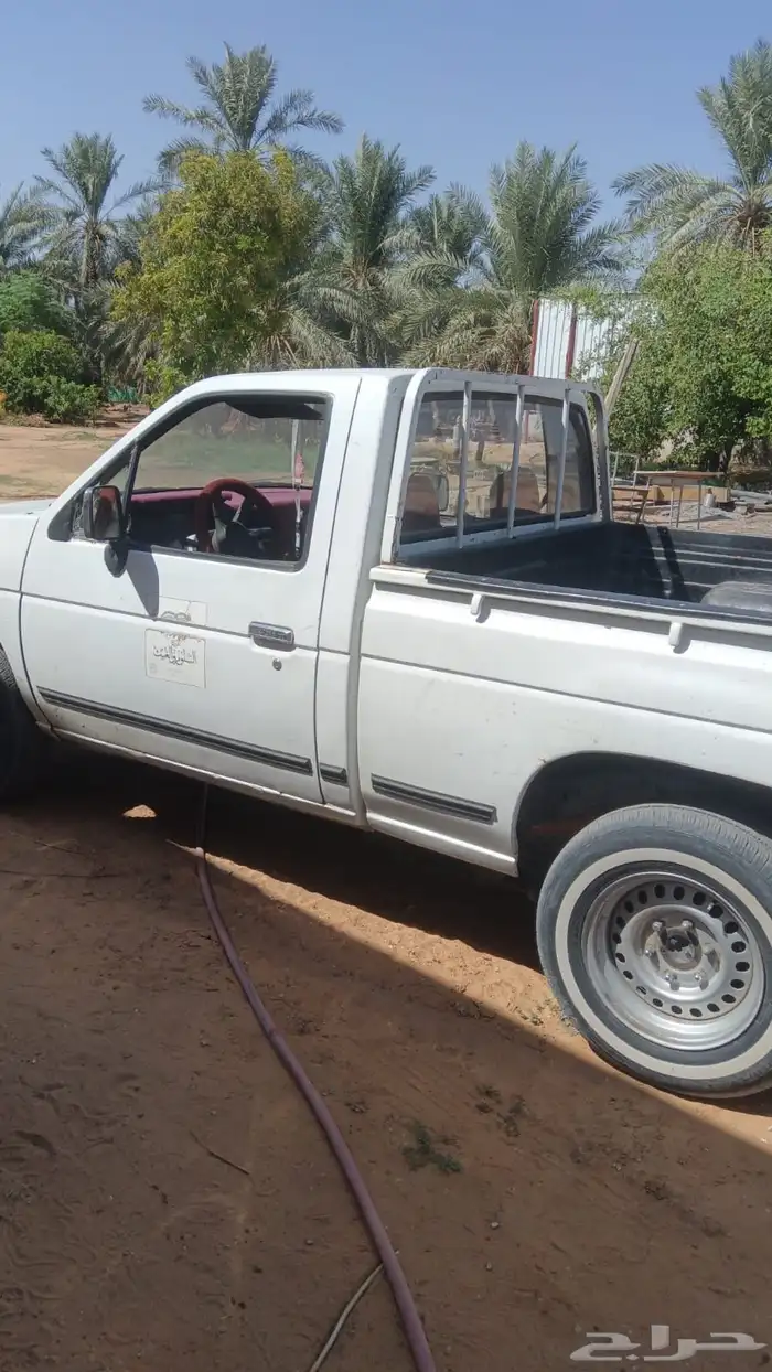 اعرض لكم ددسن 0