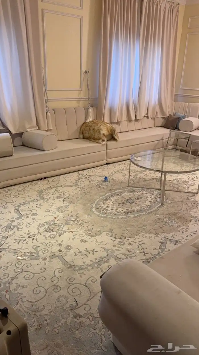 اثاث منزل نظيف جدا  وجديد ( مجلس   صاله   غرفة نوم   مطبطخ ) 8