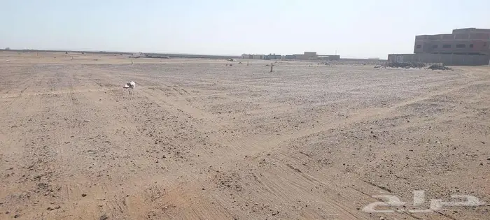 للبيع ارض في مخطط جوعرة العروس 1ع على شارع 32 1