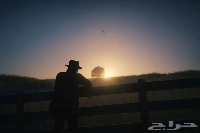 Red dead redemption 2 4