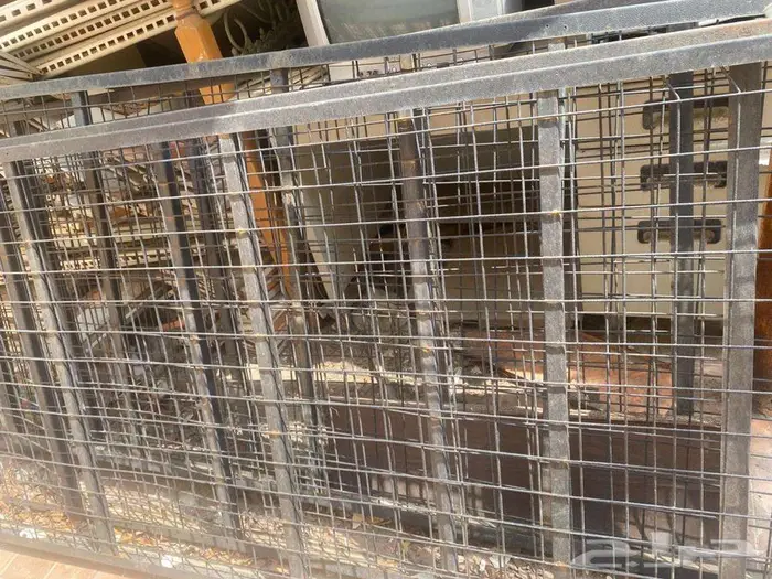 للبيع عدد 4 سراير حديد جيدة  جهاز اسبيليت سامسونج خارجى 1