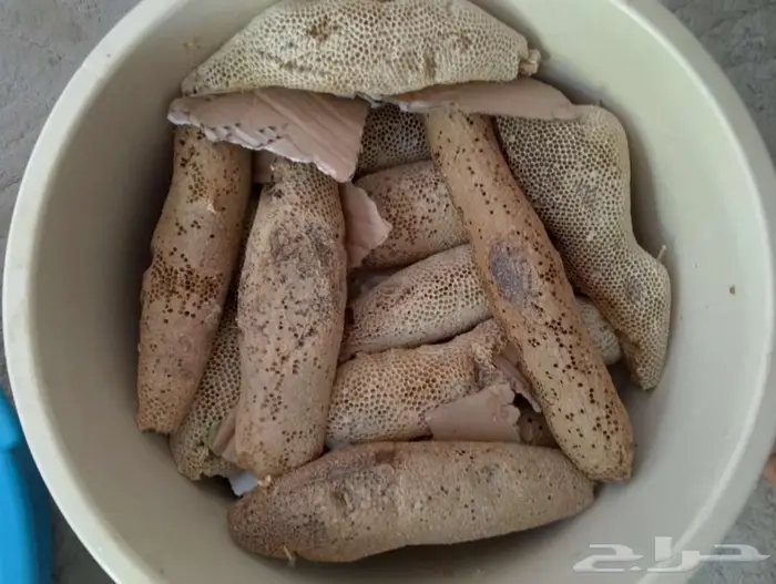 عسل بري حر 5.كيلو وربع. الكيلو ب100 2