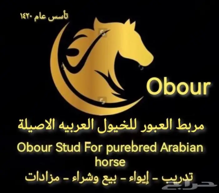 علاج حمره الخيول تحت أيدي مختصه في شرق مدينة الرياض 0