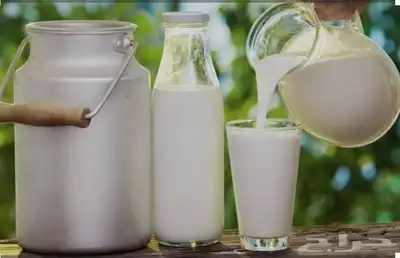 حليب بقر طازج 0