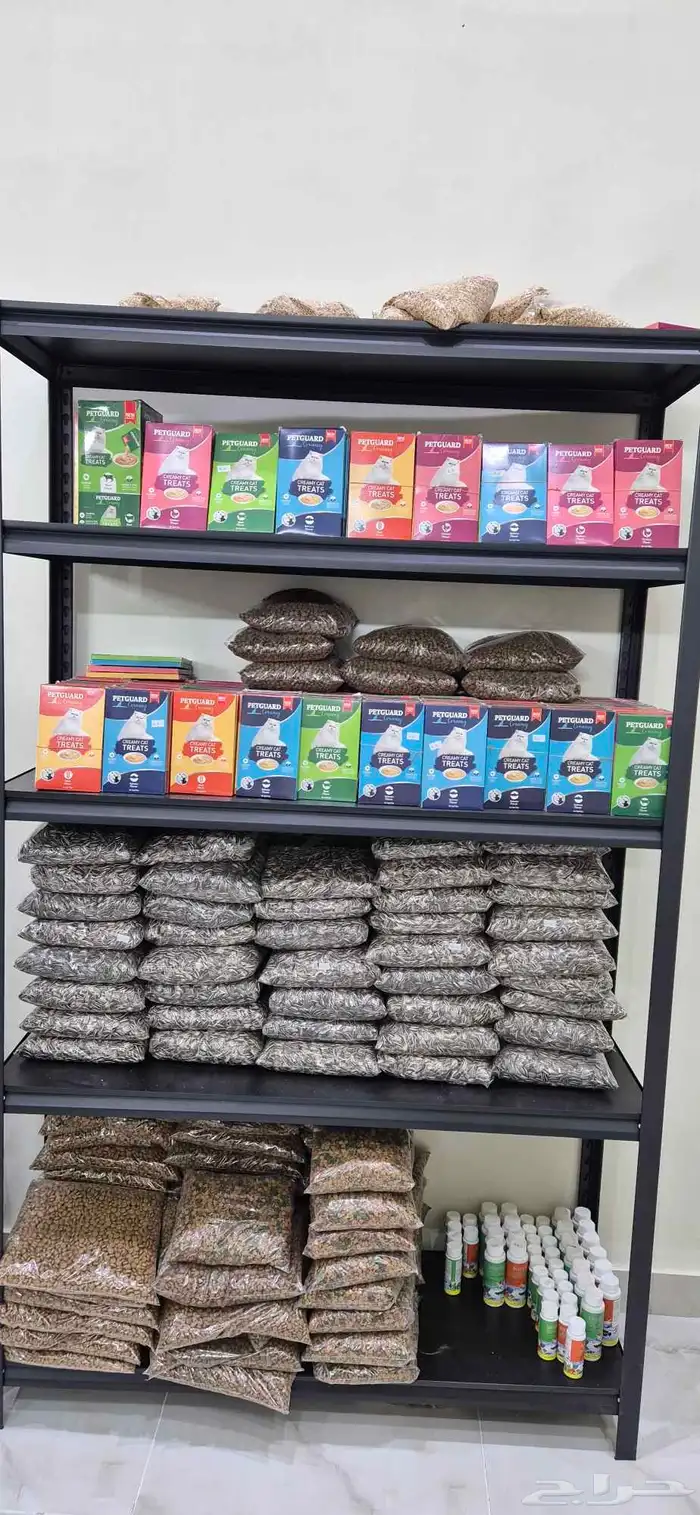 عروض خاصة لدى زاوية القطط 0