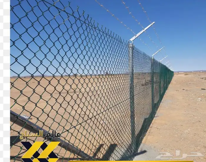 الرياض  الخرج  الحوطة نخيل واشنطني نخيل زينة القصيم 3