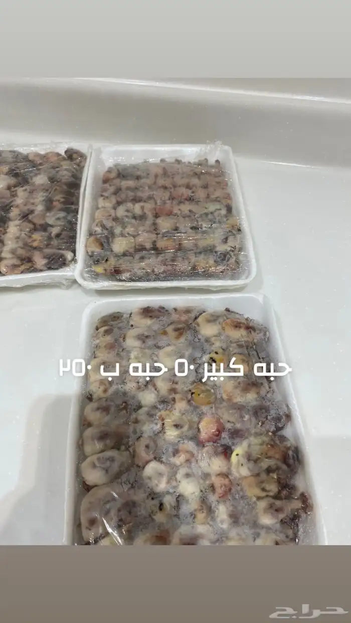دخال شحم 0